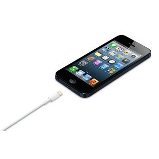 Lightning to USB Cable (0.5 m) Lightning to USB Cable (0.5 m)