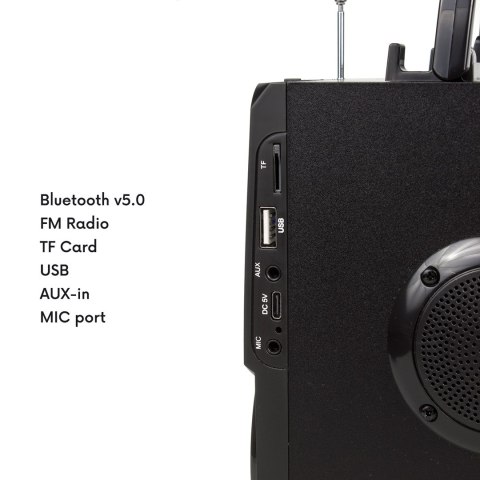 Głośnik przenośny bluetooth Audiocore, radio FM, wejście kart SD/MMC, AUX, USB, pilot, AC730 Głośnik przenośny bluetooth Audiocore, radio FM, wejście kart SD/MMC, AUX, USB, pilot, AC730