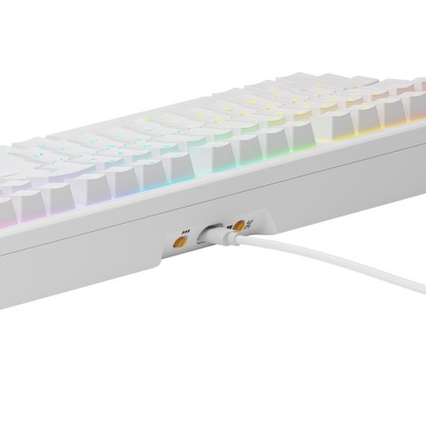 Glorious Gaming GMMK 3 HE 100% Prebuilt klawiatura USB QWERTY US English Biały Glorious Gaming GMMK 3 HE 100% Prebuilt klawiatura USB QWERTY US English Biały