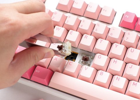 Ducky One 3 TKL Gossamer Pink klawiatura Gaming USB US English Różowy, Biały Ducky One 3 TKL Gossamer Pink klawiatura Gaming USB US English Różowy, Biały