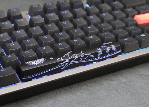 Ducky Shine 7 klawiatura Gaming USB Niemiecki Czarny Ducky Shine 7 klawiatura Gaming USB Niemiecki Czarny