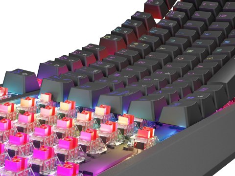 GENESIS Thor 230 TKL klawiatura Gaming USB QWERTY Hiszpański Czarny GENESIS Thor 230 TKL klawiatura Gaming USB QWERTY Hiszpański Czarny