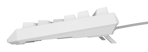 GENESIS Thor 230 TKL klawiatura Gaming USB + RF Wireless + Bluetooth QWERTY US English Biały GENESIS Thor 230 TKL klawiatura Gaming USB + RF Wireless + Bluetooth QWERTY US English Biały