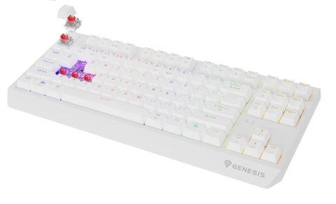 GENESIS Thor 230 TKL klawiatura Gaming USB + RF Wireless + Bluetooth QWERTY US English Biały GENESIS Thor 230 TKL klawiatura Gaming USB + RF Wireless + Bluetooth QWERTY US English Biały