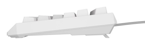 GENESIS Thor 230 TKL klawiatura Gaming USB + RF Wireless + Bluetooth QWERTY US English Biały GENESIS Thor 230 TKL klawiatura Gaming USB + RF Wireless + Bluetooth QWERTY US English Biały