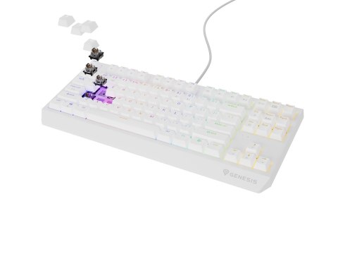 GENESIS Thor 230 TKL klawiatura USB + RF QWERTY GENESIS Thor 230 TKL klawiatura USB + RF QWERTY