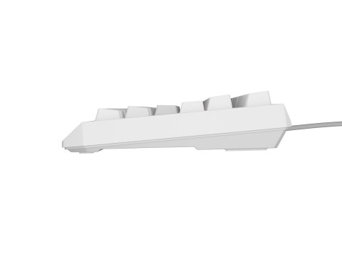 GENESIS Thor 230 TKL klawiatura USB + RF QWERTY GENESIS Thor 230 TKL klawiatura USB + RF QWERTY
