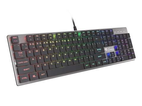 GENESIS Thor 420 RGB klawiatura Gaming USB AZERTY US English Srebrny GENESIS Thor 420 RGB klawiatura Gaming USB AZERTY US English Srebrny