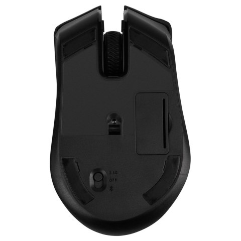 Corsair Harpoon RGB Wireless myszka Po prawej stronie RF Wireless + Bluetooth Optyczny 10000 DPI Corsair Harpoon RGB Wireless myszka Po prawej stronie RF Wireless + Bluetooth Optyczny 10000 DPI