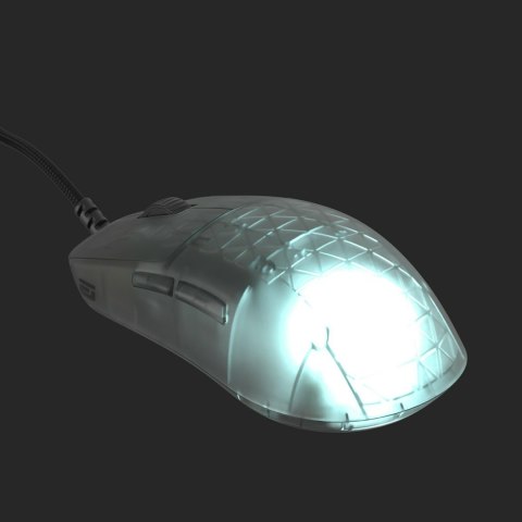 Endgame Gear OP1 RGB myszka Gaming Po prawej stronie USB Typu-A Optyczny 26000 DPI Endgame Gear OP1 RGB myszka Gaming Po prawej stronie USB Typu-A Optyczny 26000 DPI