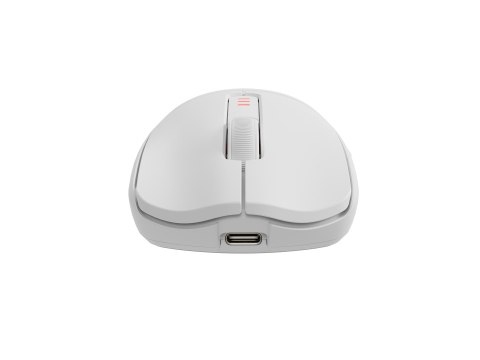 GENESIS Zircon 500 myszka Gaming Po prawej stronie RF Wireless + Bluetooth + USB Type-C Optyczny 10000 DPI GENESIS Zircon 500 myszka Gaming Po prawej stronie RF Wireless + Bluetooth + USB Type-C Optyczny 10000 DPI