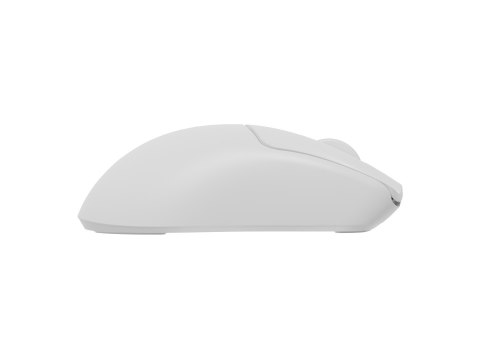 GENESIS Zircon 500 myszka Gaming Po prawej stronie RF Wireless + Bluetooth + USB Type-C Optyczny 10000 DPI GENESIS Zircon 500 myszka Gaming Po prawej stronie RF Wireless + Bluetooth + USB Type-C Optyczny 10000 DPI