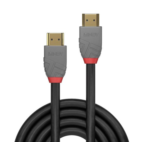 Lindy 36953 kabel HDMI 2 m HDMI Typu A (Standard) Czarny Lindy 36953 kabel HDMI 2 m HDMI Typu A (Standard) Czarny