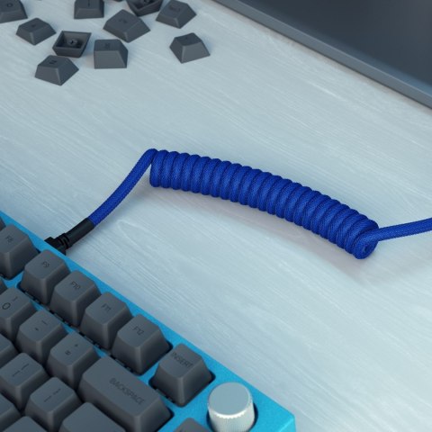 Glorious Gaming GLO-KB-ACC-CBL-COIL-CBLU kabel klawiatury/myszy Niebieski 1,4 m Glorious Gaming GLO-KB-ACC-CBL-COIL-CBLU kabel klawiatury/myszy Niebieski 1,4 m