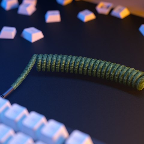 Glorious Gaming GLO-KB-ACC-CBL-COIL-FGRN kabel klawiatury/myszy Zielony 1,4 m Glorious Gaming GLO-KB-ACC-CBL-COIL-FGRN kabel klawiatury/myszy Zielony 1,4 m