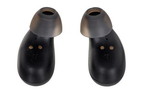 Behringer LIVE BUDS - Słuchawki douszne bezprzewodowe