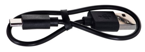 Behringer LIVE BUDS - Słuchawki douszne bezprzewodowe