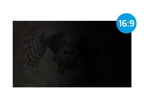NATEC FILTR PRYWATYZUJĄCY OWL 13.3" 16:9 NFP-1616 NATEC FILTR PRYWATYZUJĄCY OWL 13.3" 16:9 NFP-1616