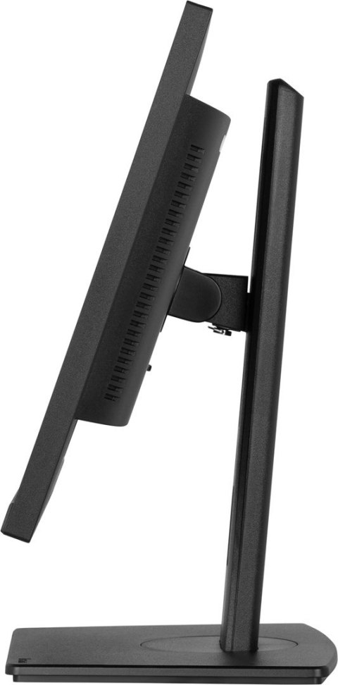 Monitor IPS 1H 1DP, 2x2.0, 100Hz Monitor IPS 1H 1DP, 2x2.0, 100Hz