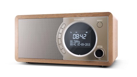 Radio cyfrowe Sharp DR-450(BR) z technologią Bluetooth Radio cyfrowe Sharp DR-450(BR) z technologią Bluetooth