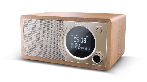 Radio cyfrowe Sharp DR-450(BR) z technologią Bluetooth Radio cyfrowe Sharp DR-450(BR) z technologią Bluetooth