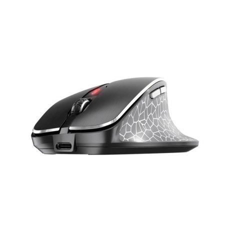CHERRY MW 8C ERGO myszka Po prawej stronie RF Wireless + Bluetooth Optyczny 3000 DPI CHERRY MW 8C ERGO myszka Po prawej stronie RF Wireless + Bluetooth Optyczny 3000 DPI