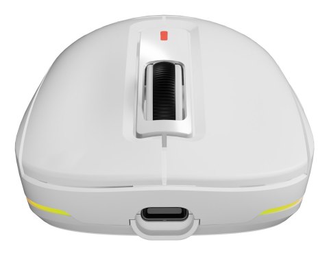 GENESIS NMG-2194 myszka Gaming Oburęczny Bluetooth + USB Type-C Optyczny 26000 DPI GENESIS NMG-2194 myszka Gaming Oburęczny Bluetooth + USB Type-C Optyczny 26000 DPI