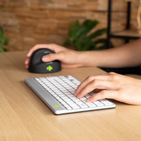 Klawiatura R-Go Tools Compact Break RGOCOUSWLWH Bluetooth QWERTY US Englisch Weiß Klawiatura R-Go Tools Compact Break RGOCOUSWLWH Bluetooth QWERTY US Englisch Weiß