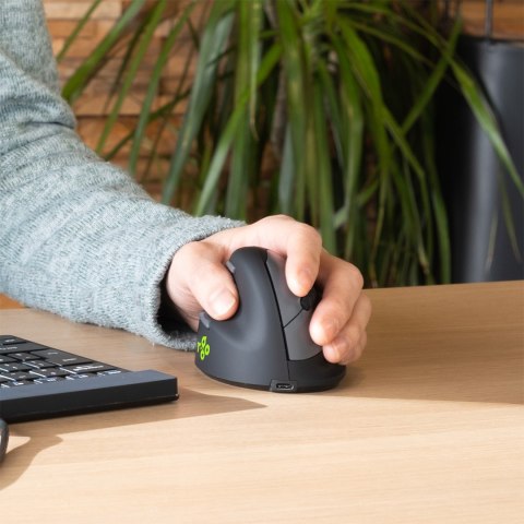R-Go Pele HE ergonomiczna myszka lewa Bluetooth sidabrina
