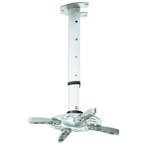 Techly ICA-PM 102XL uchwyt do montażu projektora Sufit Srebrny Techly ICA-PM 102XL uchwyt do montażu projektora Sufit Srebrny