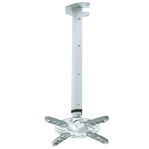 Techly ICA-PM 102XL uchwyt do montażu projektora Sufit Srebrny Techly ICA-PM 102XL uchwyt do montażu projektora Sufit Srebrny