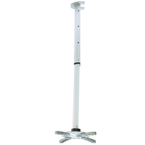 Techly ICA-PM 102XL uchwyt do montażu projektora Sufit Srebrny Techly ICA-PM 102XL uchwyt do montażu projektora Sufit Srebrny
