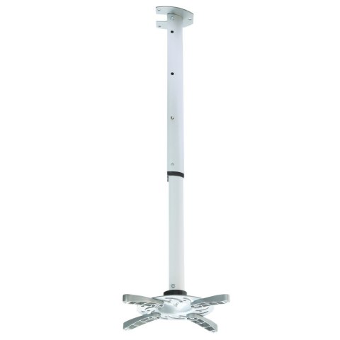 Techly ICA-PM 102XL uchwyt do montażu projektora Sufit Srebrny Techly ICA-PM 102XL uchwyt do montażu projektora Sufit Srebrny