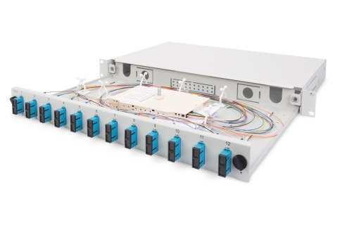 Panel krosowy FO bez płyty czołowej 19'' 1U, wysuwany, dławnica PG13.5 i PG16, opaski/uchwyty, szary Panel krosowy FO bez płyty czołowej 19'' 1U, wysuwany, dławnica PG13.5 i PG16, opaski/uchwyty, szary