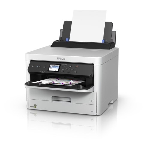 Epson DURABrite Pro Epson DURABrite Pro