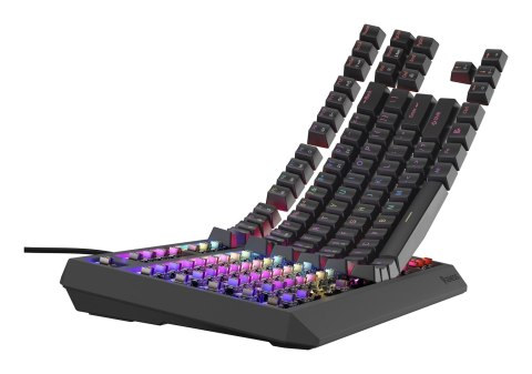 GENESIS Thor 230 TKL klawiatura Gaming USB QWERTY US English Czarny GENESIS Thor 230 TKL klawiatura Gaming USB QWERTY US English Czarny