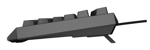 GENESIS Thor 230 TKL klawiatura Gaming USB QWERTY US English Czarny GENESIS Thor 230 TKL klawiatura Gaming USB QWERTY US English Czarny