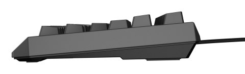 GENESIS Thor 230 TKL klawiatura Gaming USB QWERTY US English Czarny GENESIS Thor 230 TKL klawiatura Gaming USB QWERTY US English Czarny