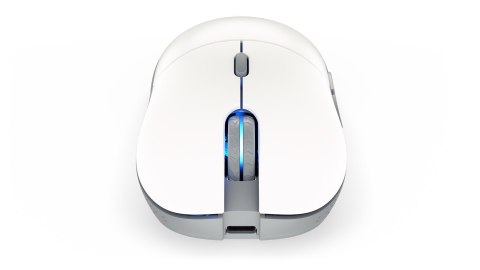 ENDORFY GEM Plus Wireless Onyx White myszka Oburęczny RF Wireless + USB Type-C Optyczny 26000 DPI