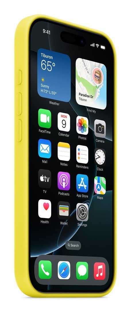Etui do Apple iPhone16 Pro Silicone Case with MagSafe - Star Fruit