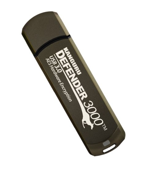 Przenośny dysk Kanguru Solutions Kanguru Defender 3000 - 256 GB - USB Type-C - 3.2 Gen 1 (3.1 Gen 1) - 300 MB/s - Zaślepka - Sza