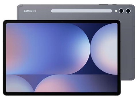 Samsung S10+ 512 GB 31,5 cm (12.4") 12 GB Android 14 Szary Samsung S10+ 512 GB 31,5 cm (12.4") 12 GB Android 14 Szary