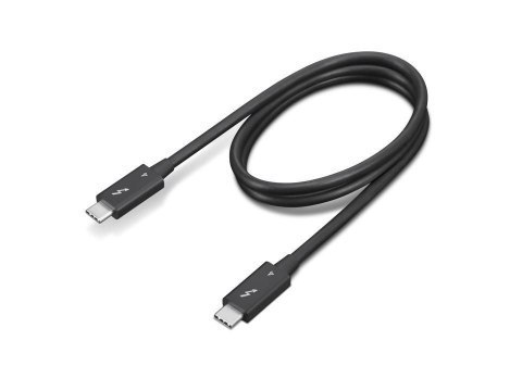 Lenovo 4X91K16968 kabel Thunderbolt 0,7 m 40 Gbit/s Czarny Lenovo 4X91K16968 kabel Thunderbolt 0,7 m 40 Gbit/s Czarny