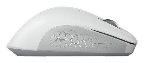 CHERRY JW-8550-0 myszka Uniwersalne Po prawej stronie RF Wireless Optyczny 4000 DPI CHERRY JW-8550-0 myszka Uniwersalne Po prawej stronie RF Wireless Optyczny 4000 DPI