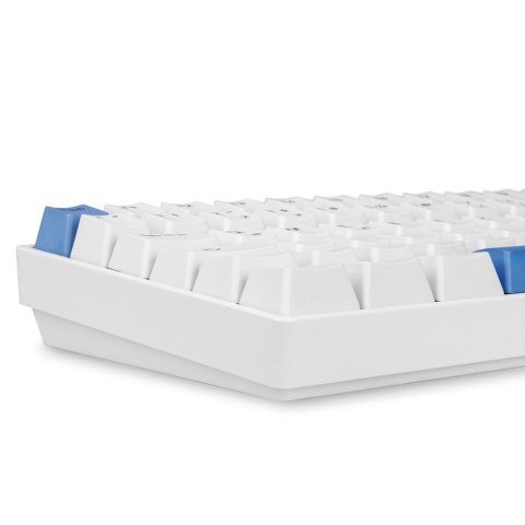 SKILLER SGK50 S3 PBT WHITE/HOT-SWAP/75 LAYOUT/SPIRALCAB SKILLER SGK50 S3 PBT WHITE/HOT-SWAP/75 LAYOUT/SPIRALCAB