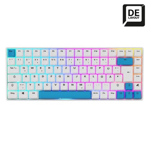 SKILLER SGK50 S3 PBT WHITE/HOT-SWAP/75 LAYOUT/SPIRALCAB SKILLER SGK50 S3 PBT WHITE/HOT-SWAP/75 LAYOUT/SPIRALCAB
