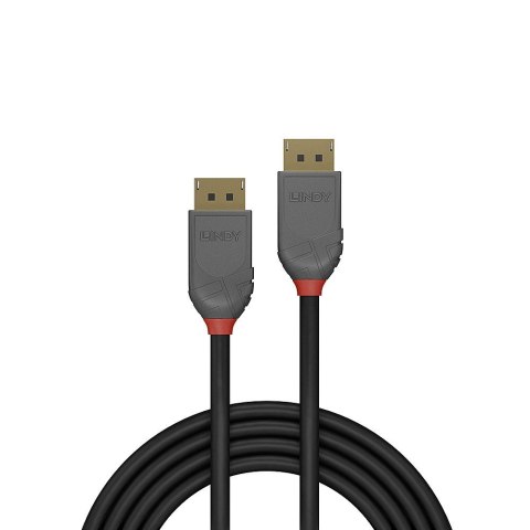 Lindy 36482 kabel DisplayPort 2 m Czarny