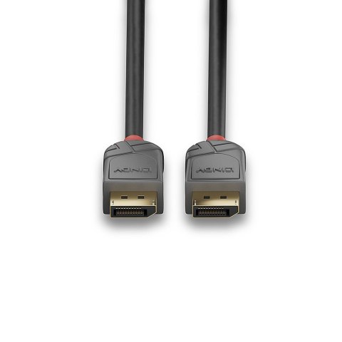 Lindy 36482 kabel DisplayPort 2 m Czarny