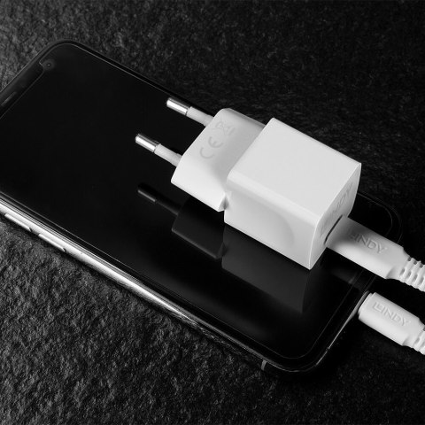 Lindy 73410 ładowarka do urządzeń przenośnych Smartfon Biały Prąd przemienny Wewnętrzna Lindy 73410 ładowarka do urządzeń przenośnych Smartfon Biały Prąd przemienny Wewnętrzna