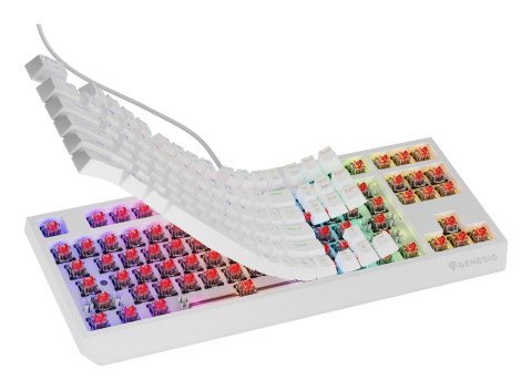 KLAWIATURA DLA GRACZY GENESIS THOR 230 TKL US RGB MECHANICZNA OUTEMU RED BIAŁA HOT SWAP